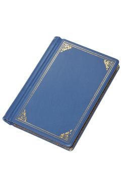 Regal Register and Record Book (Border and Rulings)