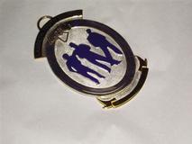 Youth Badge